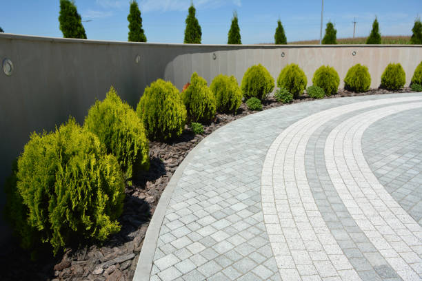 Best Custom Driveway Pavers  in Melbourne, AR